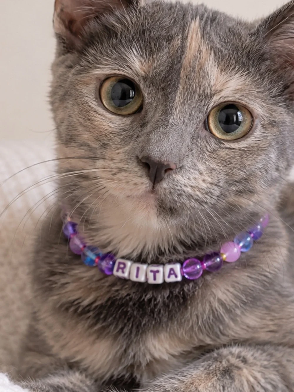 Rita Purple Beaded Stretch Cat Collar 9”